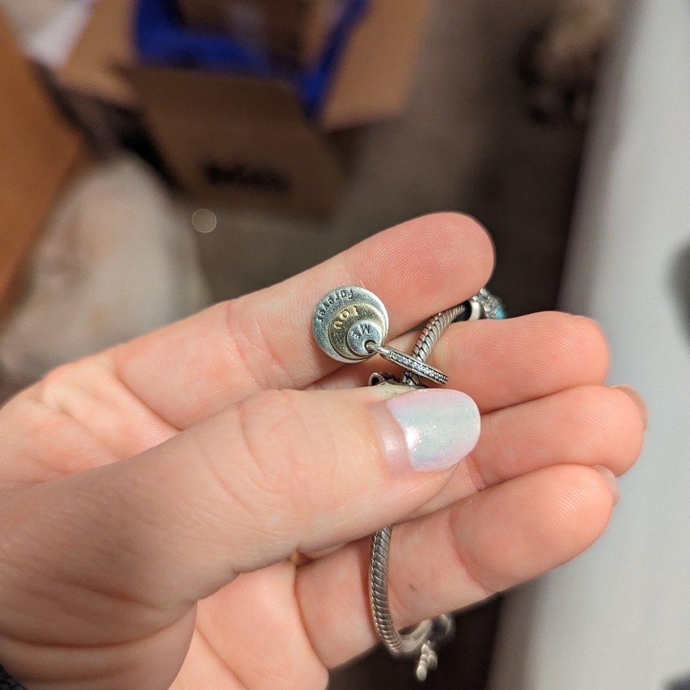 Pandora charm